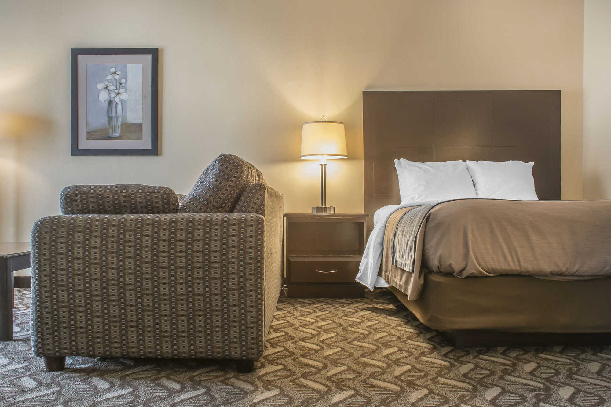 Comfort Inn & Suites Ambassador Bridge Γουίντσορ Δωμάτιο φωτογραφία